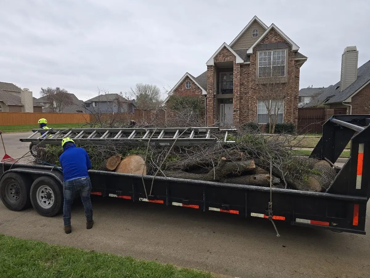 Expert Tree Pest Control with proper safety equipment in East Enterprise